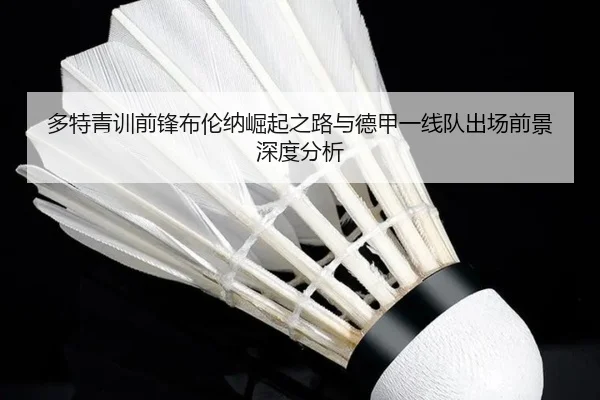 多特青训前锋布伦纳崛起之路与德甲一线队出场前景深度分析 | pg